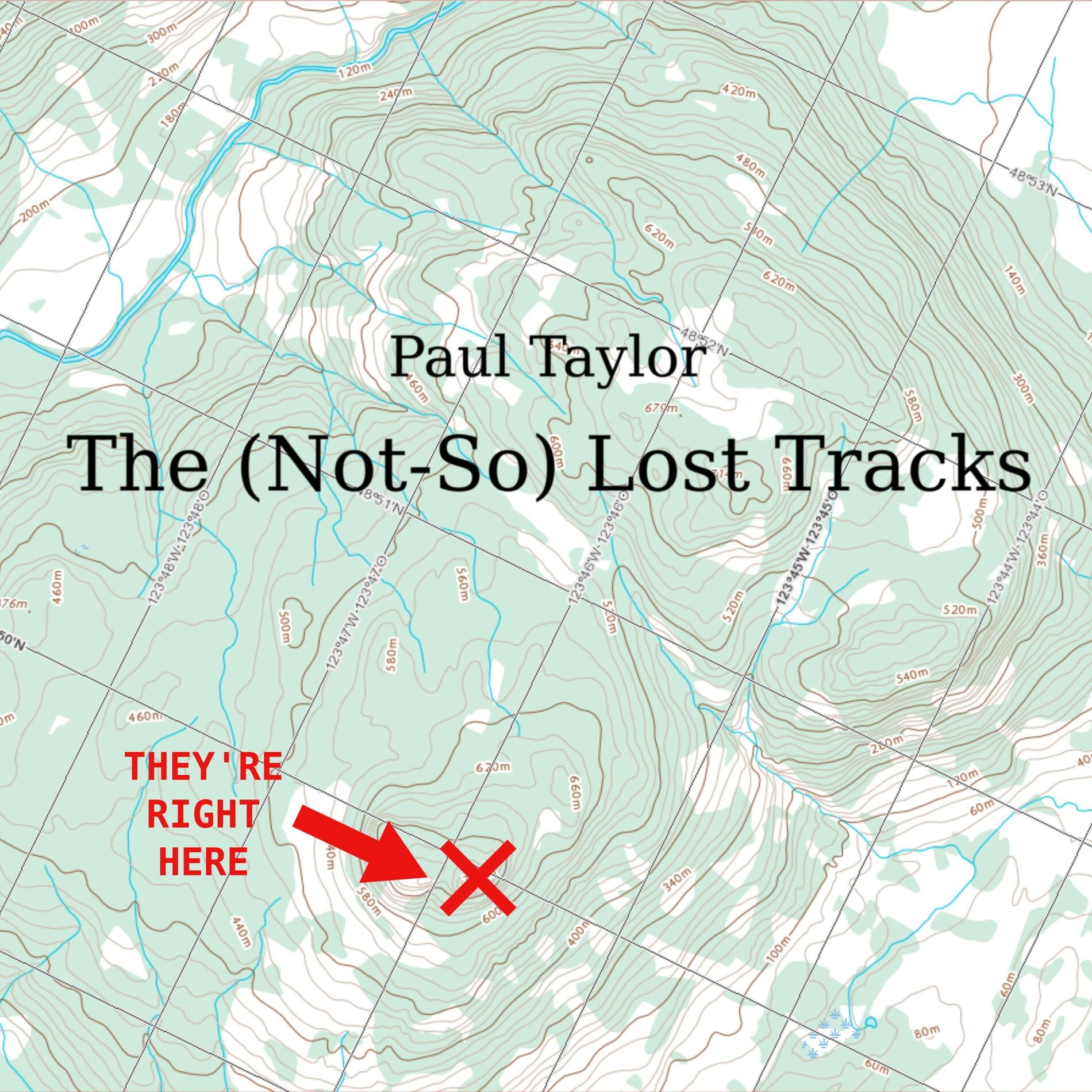 Album cover of The Not-So Lost Tracks