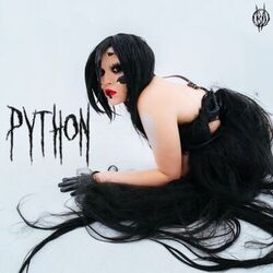 Cover of PYTHON