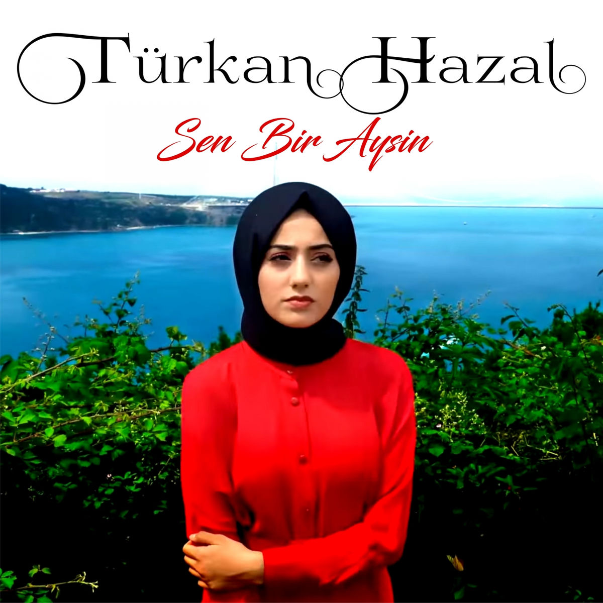 Album cover of Sen Bir Aysın