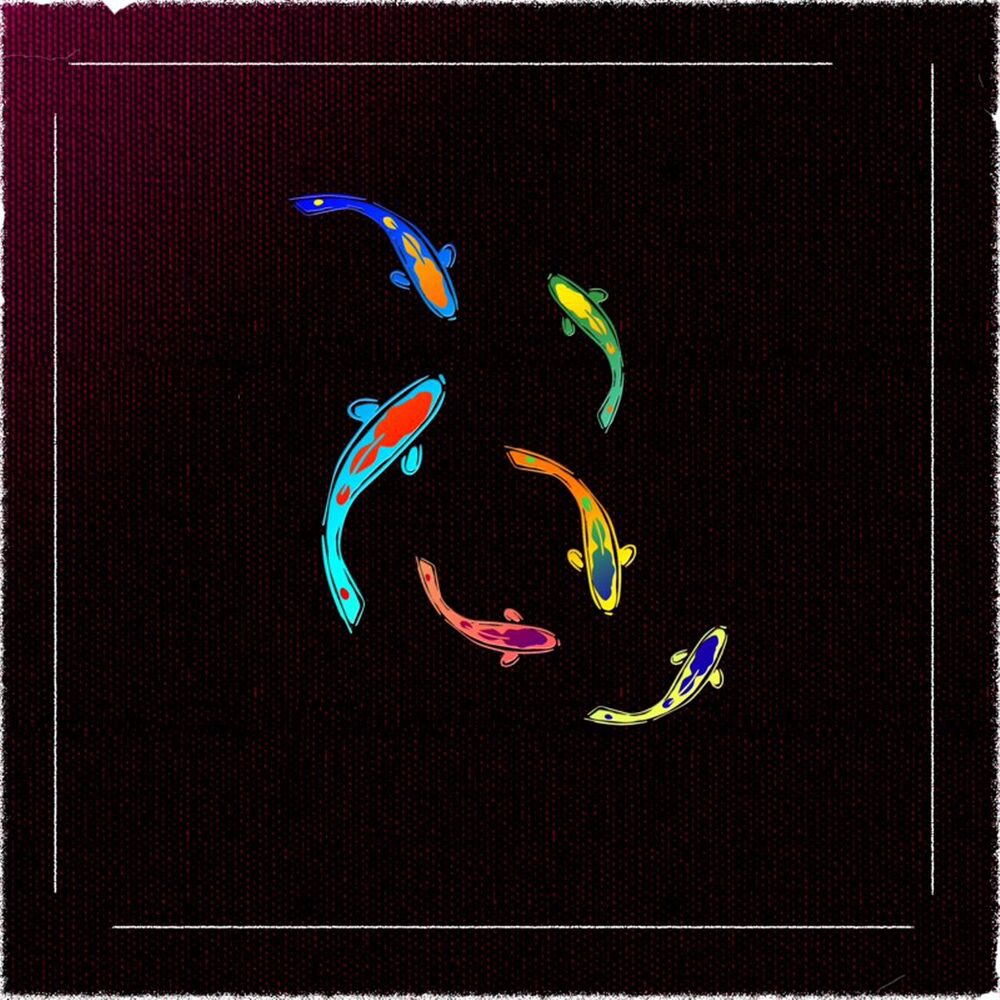 Picture of Colours in the Dark