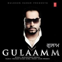 Cover of Gulaamm