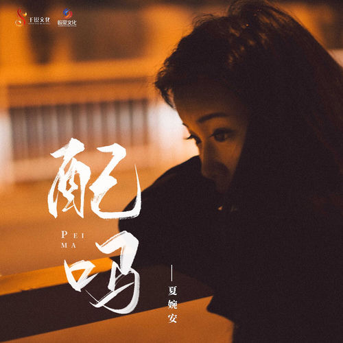 配吗 (DJ志鹏版)