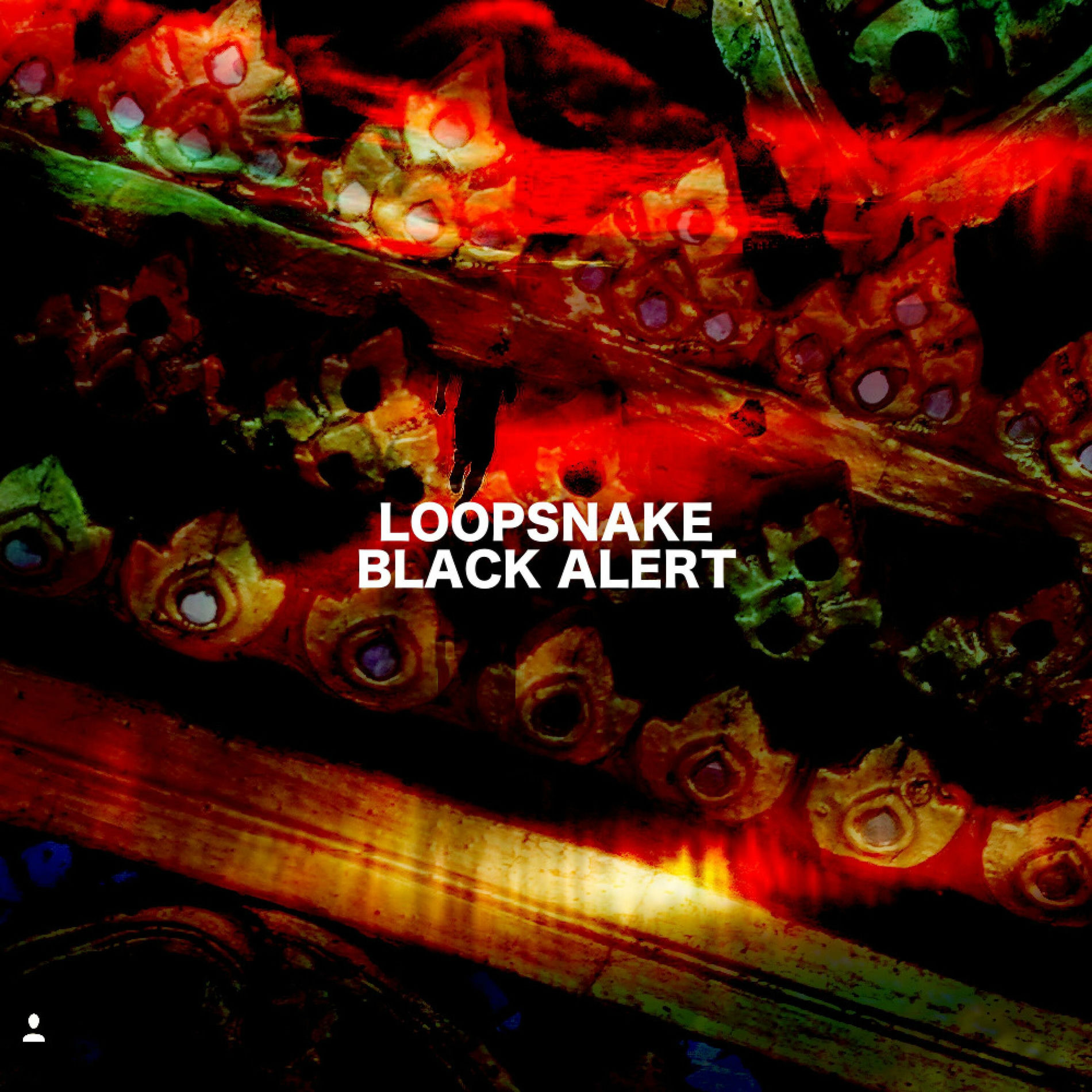 Album cover of Black Alert