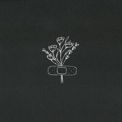 Cover of Some Things (Don't) Matter