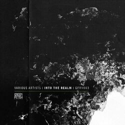 Cover of Into The Realm