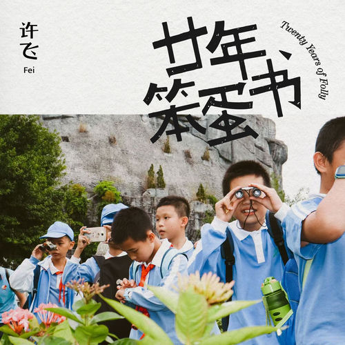 廿年笨蛋书