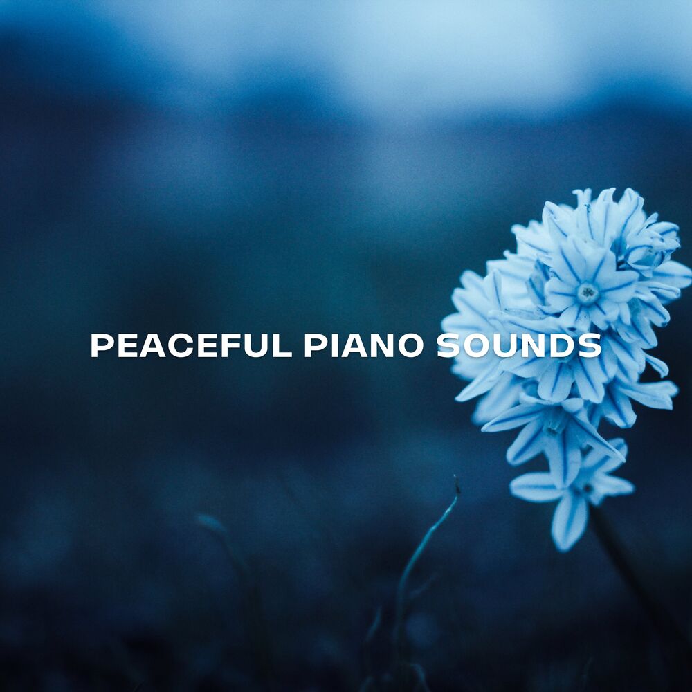 Picture of Peaceful Piano Sounds