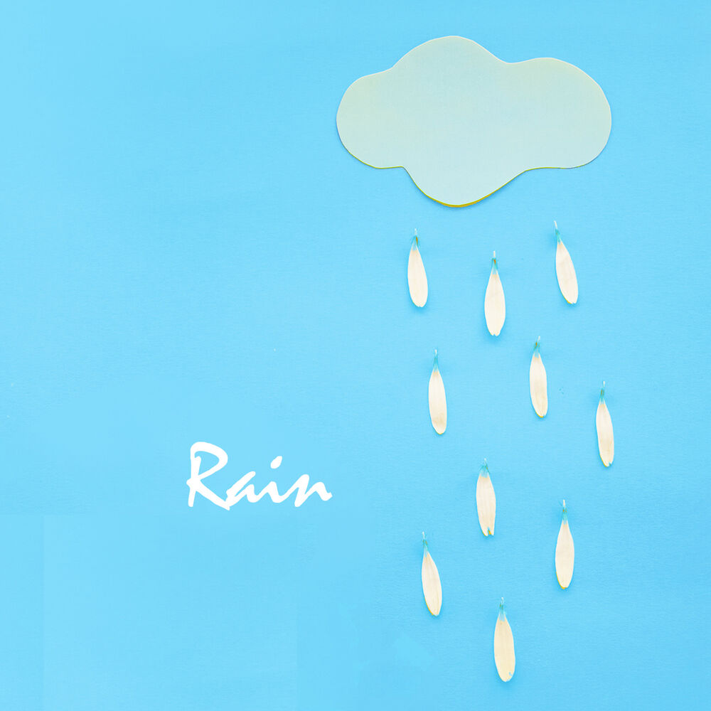 Picture of Rain