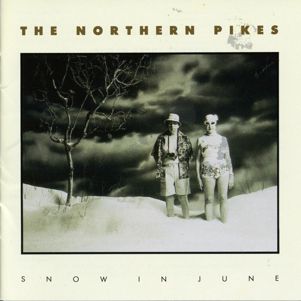 Picture of Snow In June