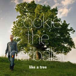 Cover of Like a Tree