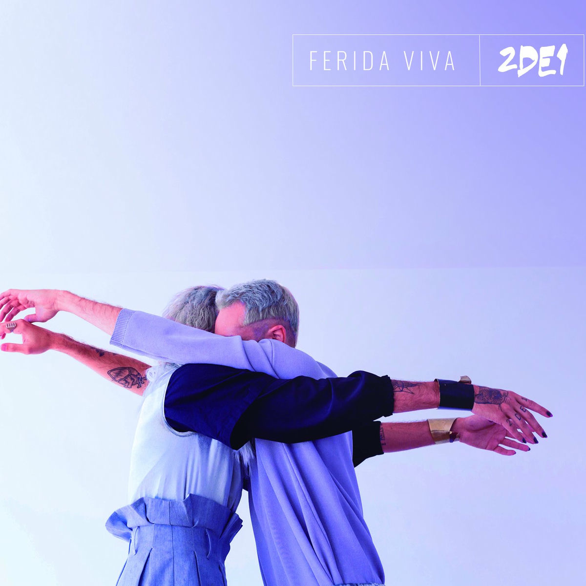 Album cover of Ferida Viva
