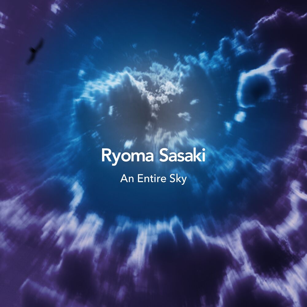 Picture of An Entire Sky