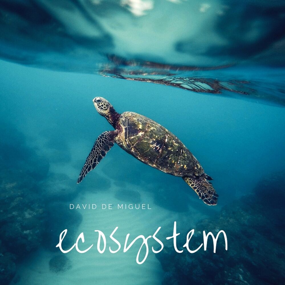 Picture of Ecosystem