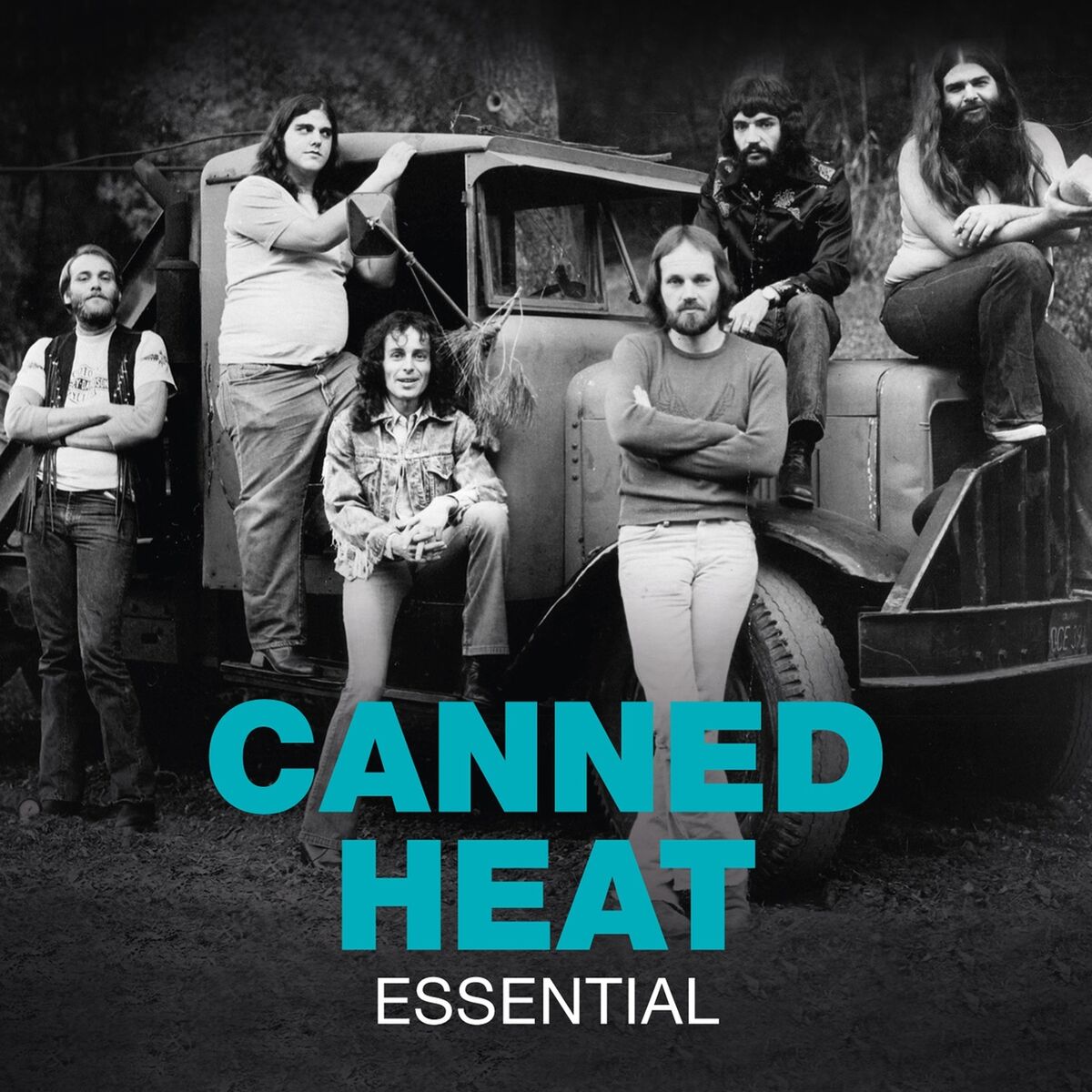 Album cover of Essential