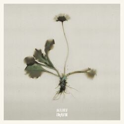 Cover of iraun