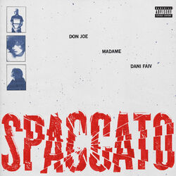 Cover of SPACCATO