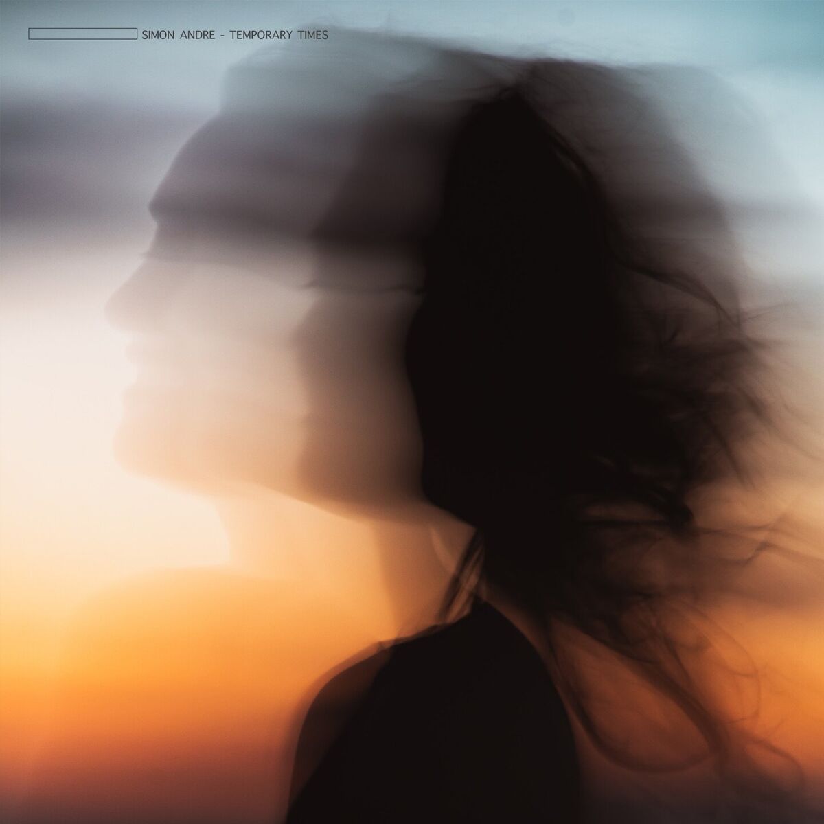 Album cover of Temporary Times