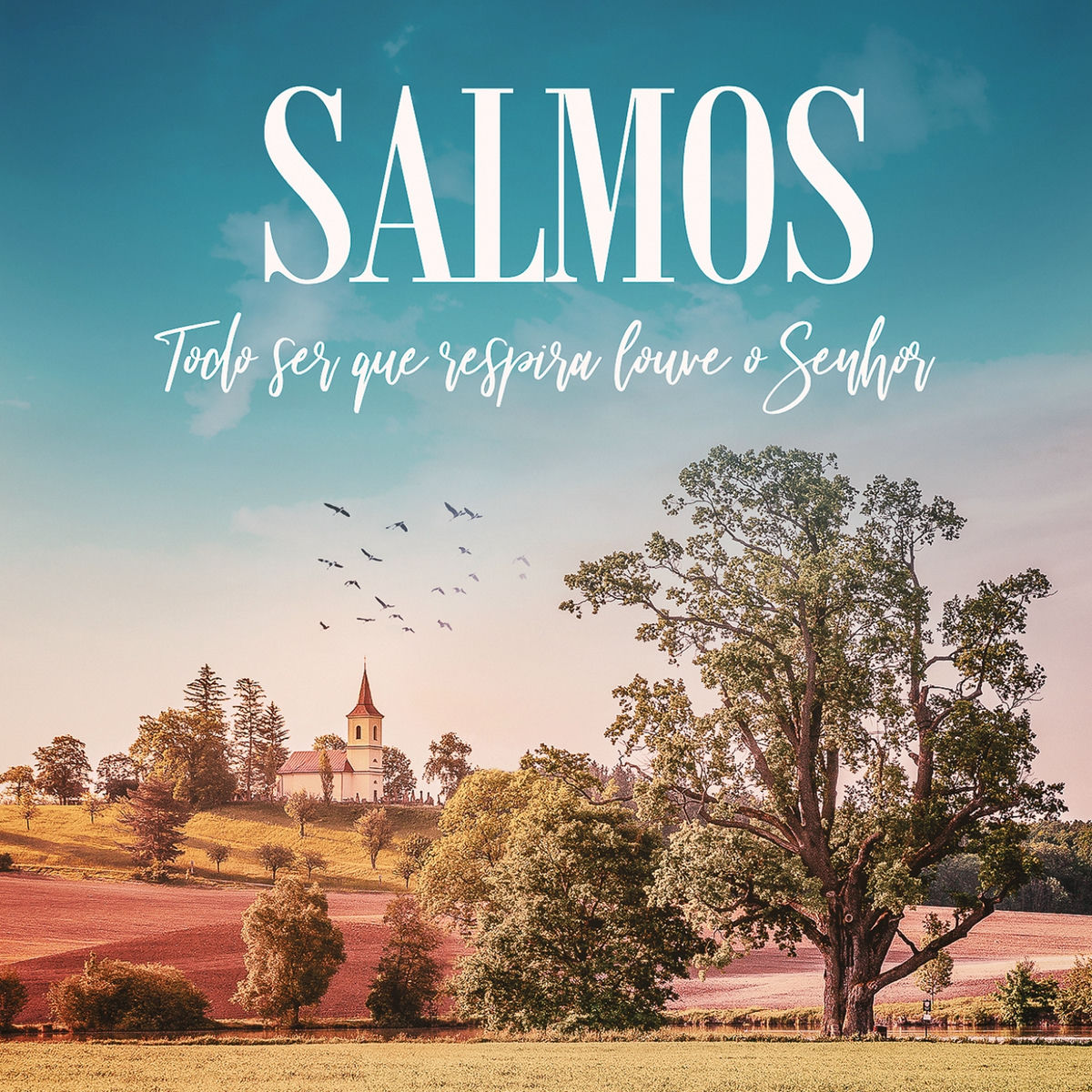 Album cover of Salmos (Todo Ser Que Respira Louve o Senhor)