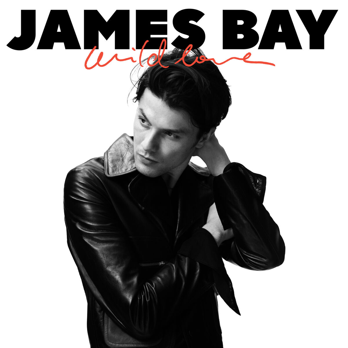 Album cover of Wild Love