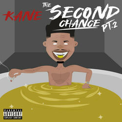 Cover of The Second Chance Pt.2