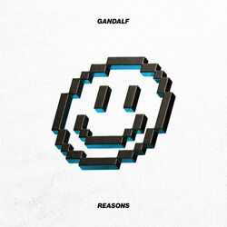 Cover of Reasons