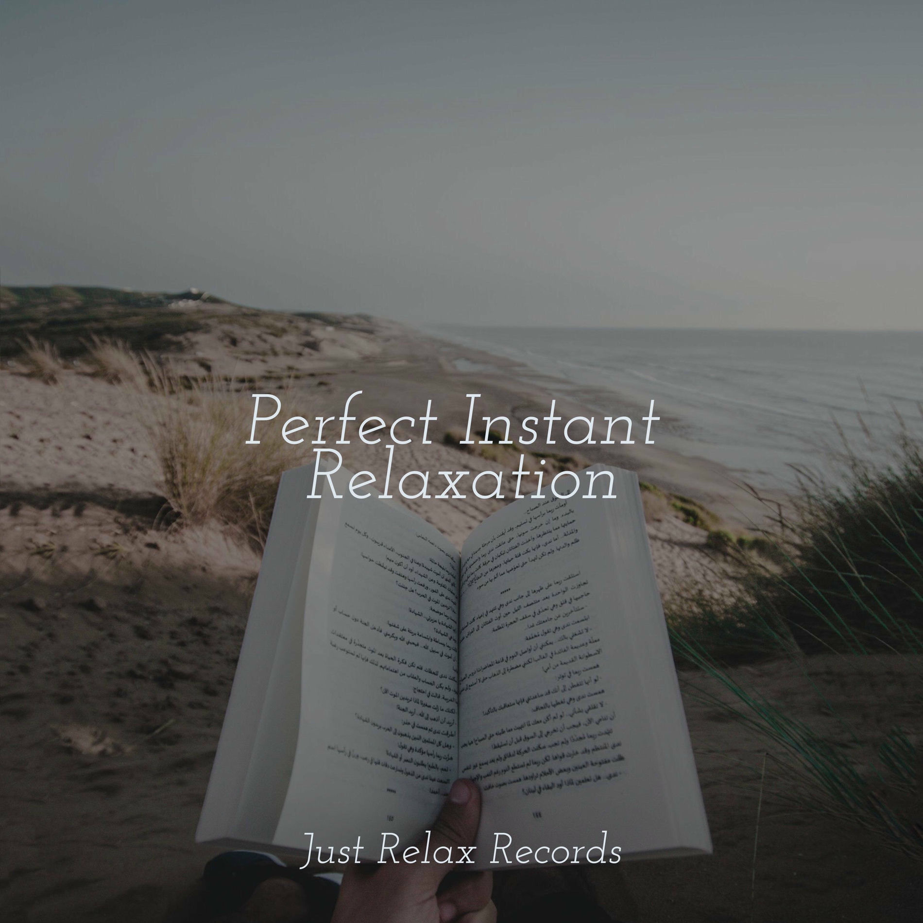 Album cover of Perfect Instant Relaxation