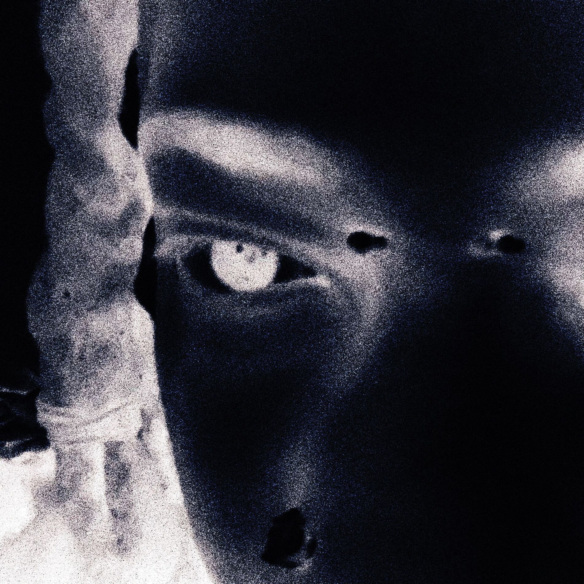 Album cover of spiteful
