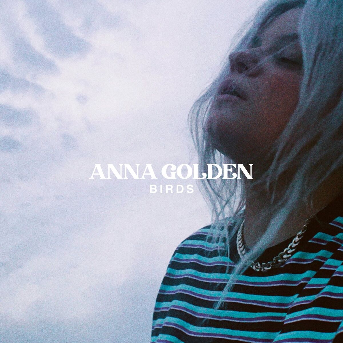 Album cover of Birds