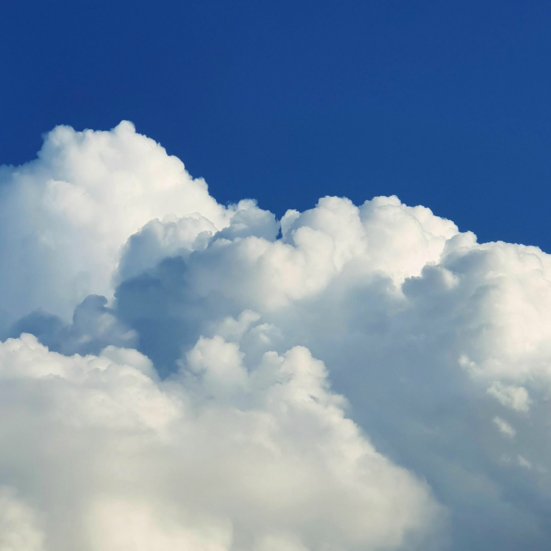 Album cover of Clouded