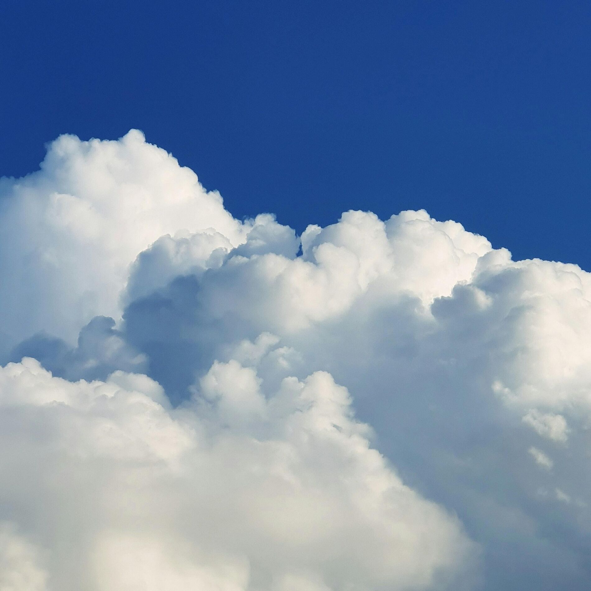Album cover of Clouded