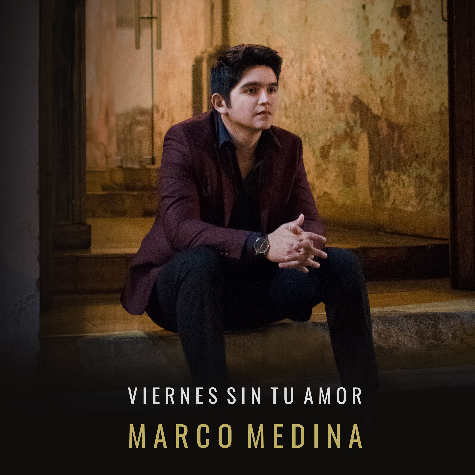 Album cover of Viernes Sin Tu Amor