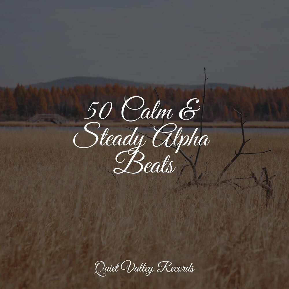 Picture of 50 Calm & Steady Alpha Beats