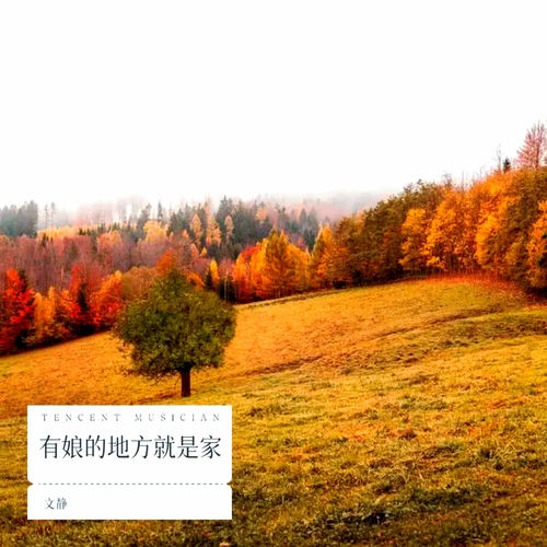 有娘的地方就是家