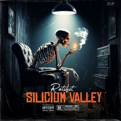 Cover of Silicium valley