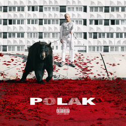 Cover of Polak