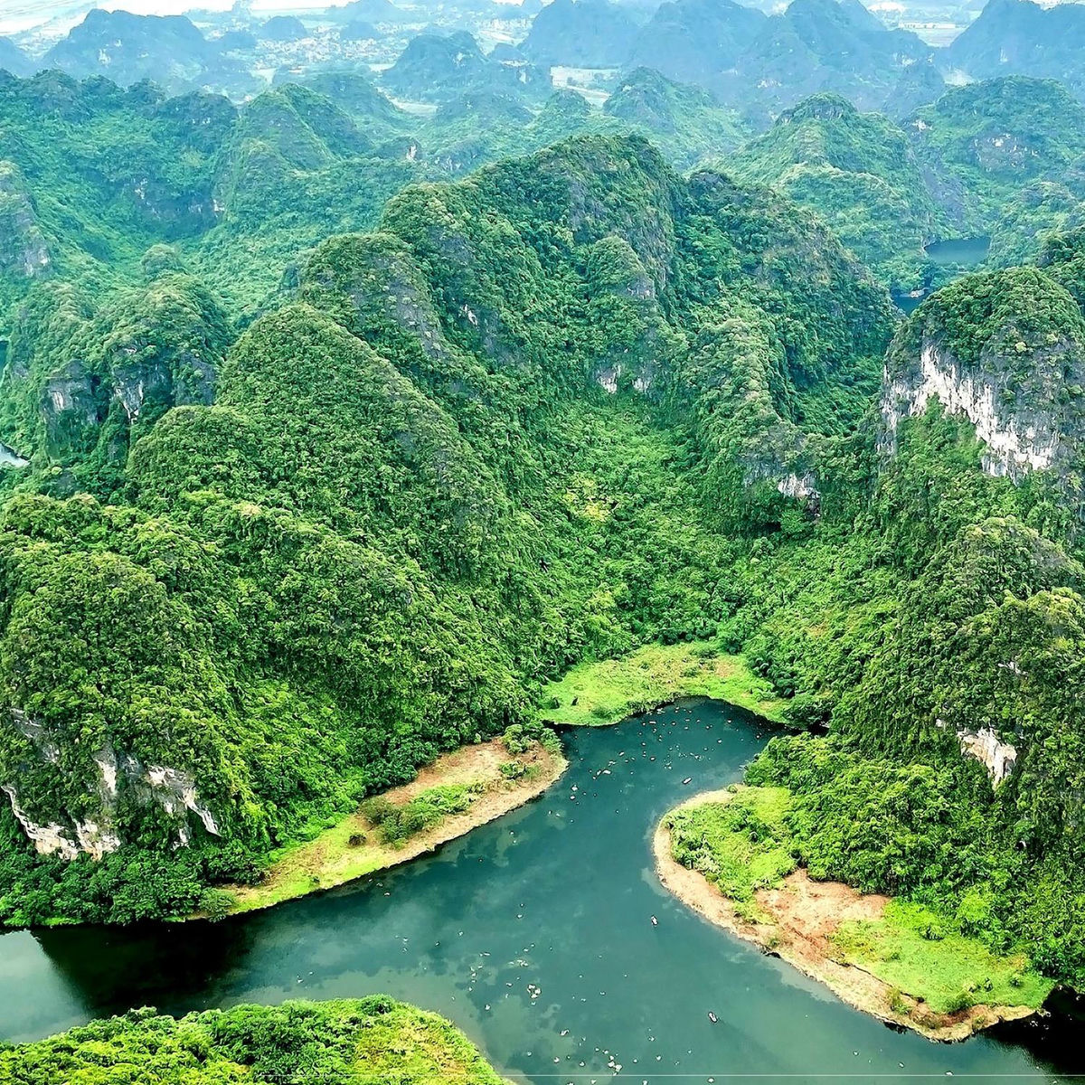 Album cover of Nature Soundscape – Wild Jungle Ambient for Relax (Loopable)