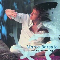 Cover of De Bestemming