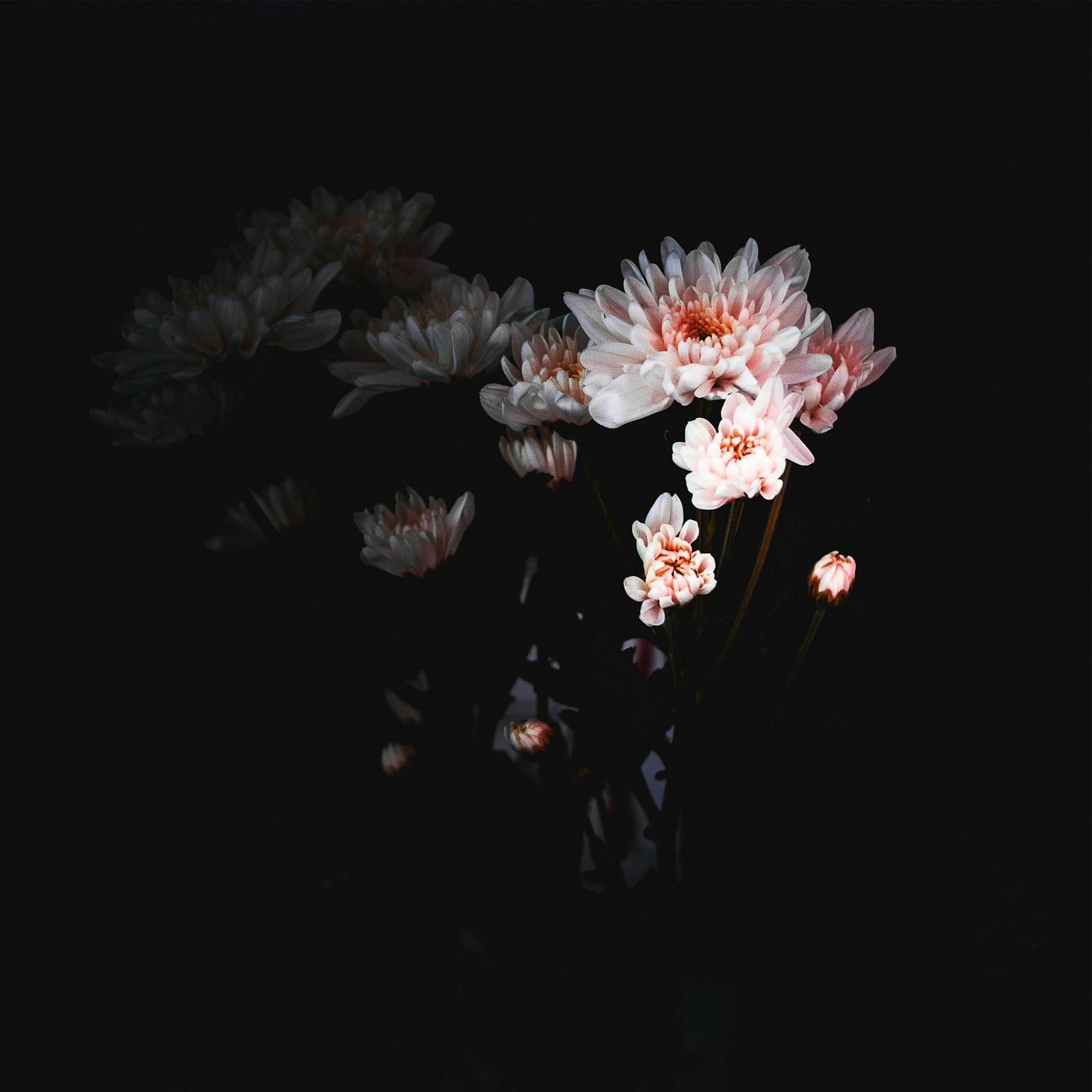 Album cover of Good Luck, Babe!