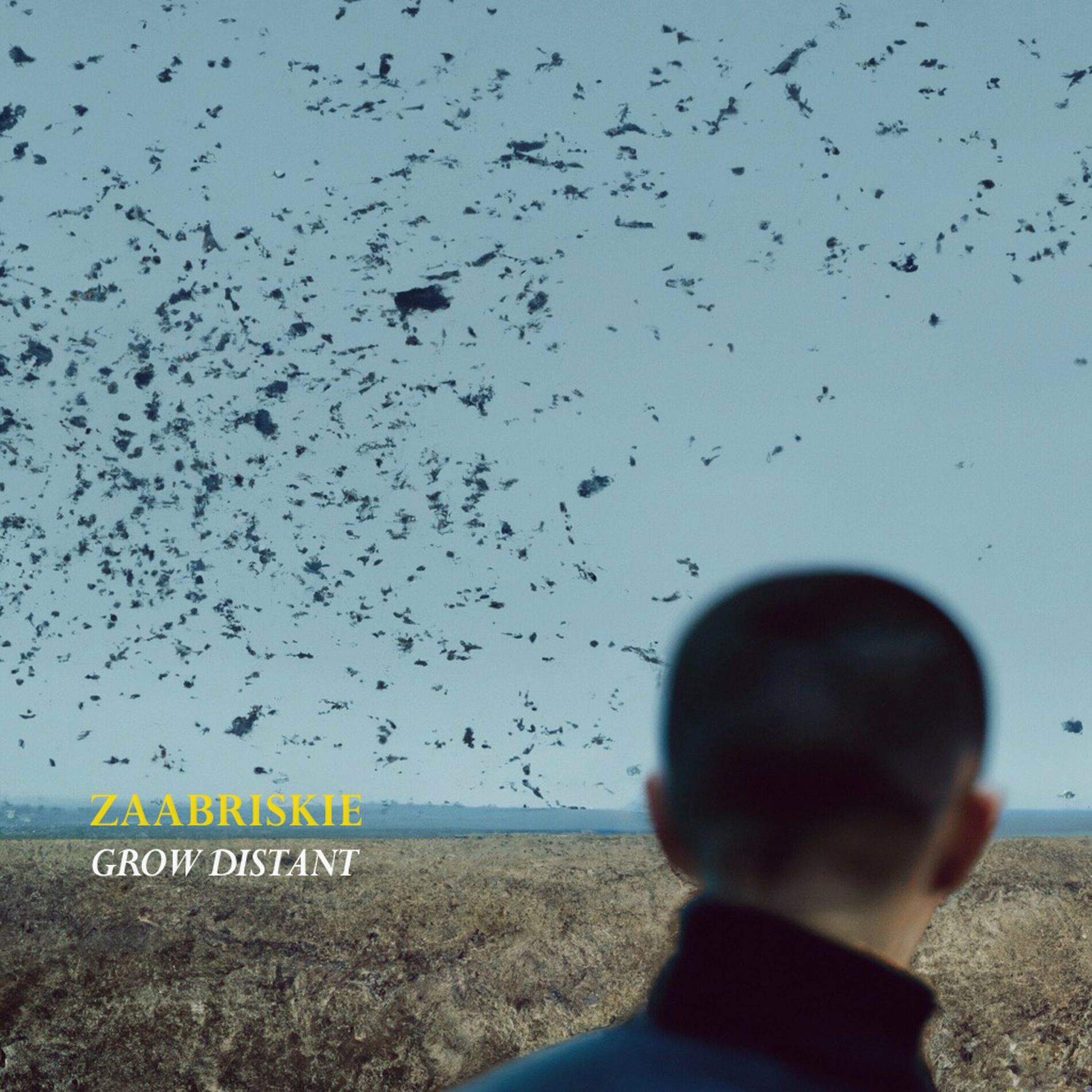 Album cover of Grow Distant