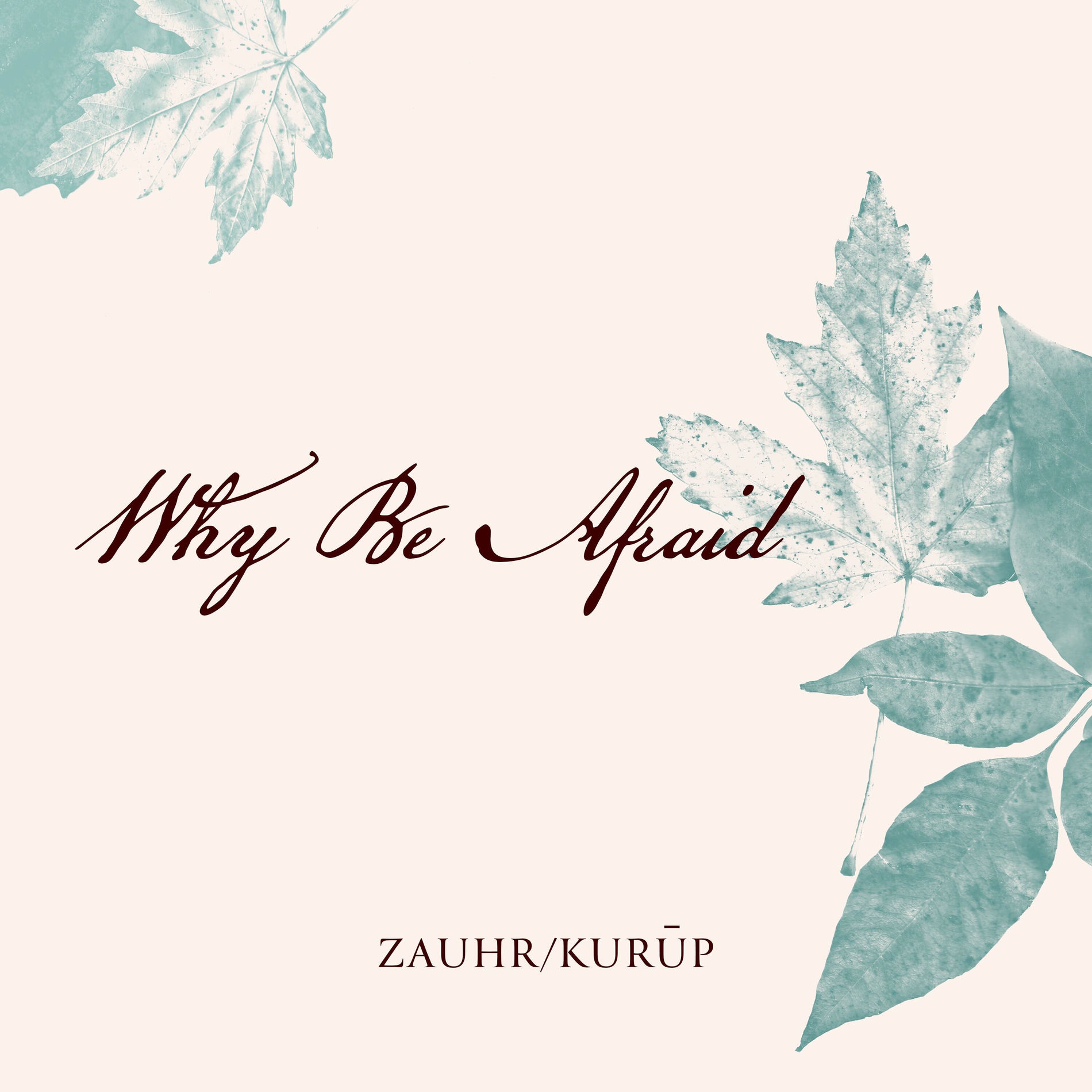 Album cover of Why Be Afraid