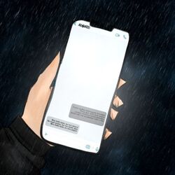 Cover of Mensagens Trocadas
