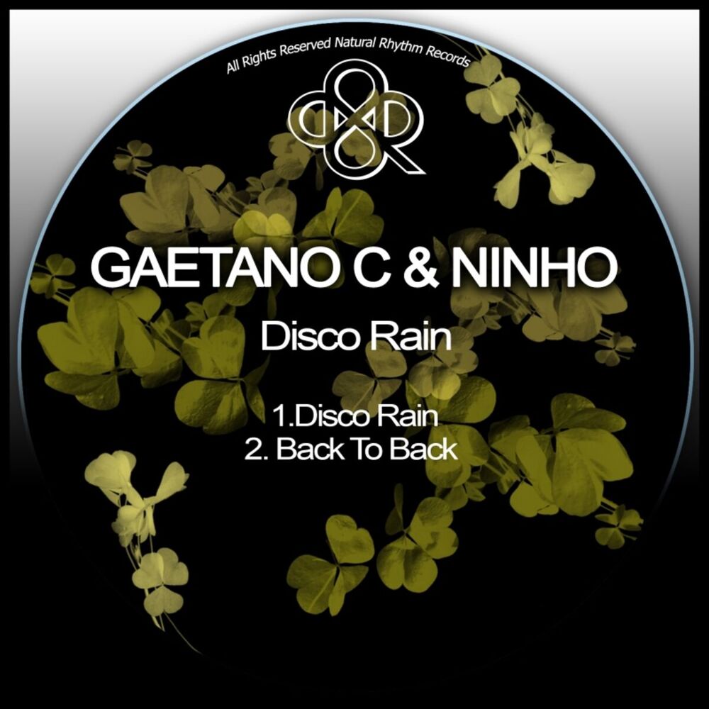 Picture of Disco Rain