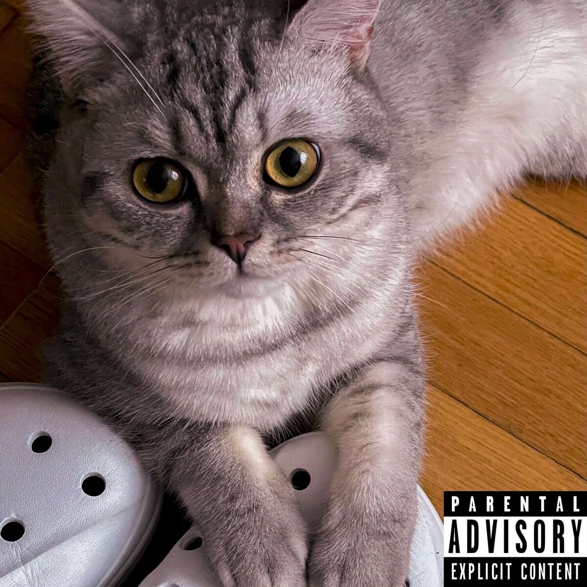 Album cover of Трек на 3 минуты
