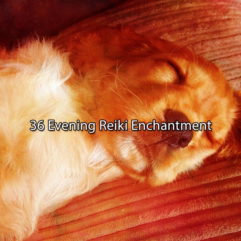 Picture of 36 Evening Reiki Enchantment