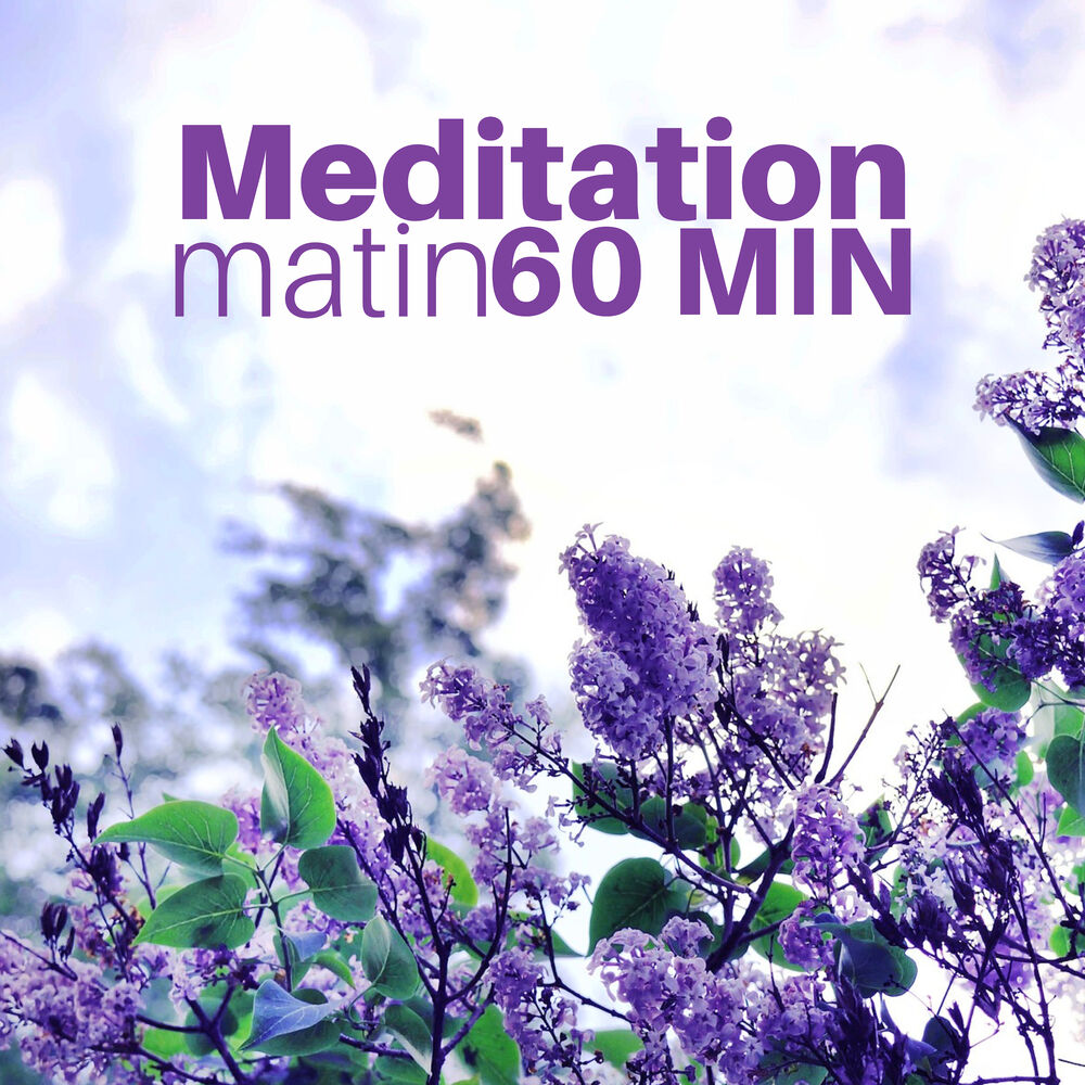 Picture of Meditation Matin 60 MIN - Musique Bouddhiste Relaxante pour Méditer avec des Sons de la Nature