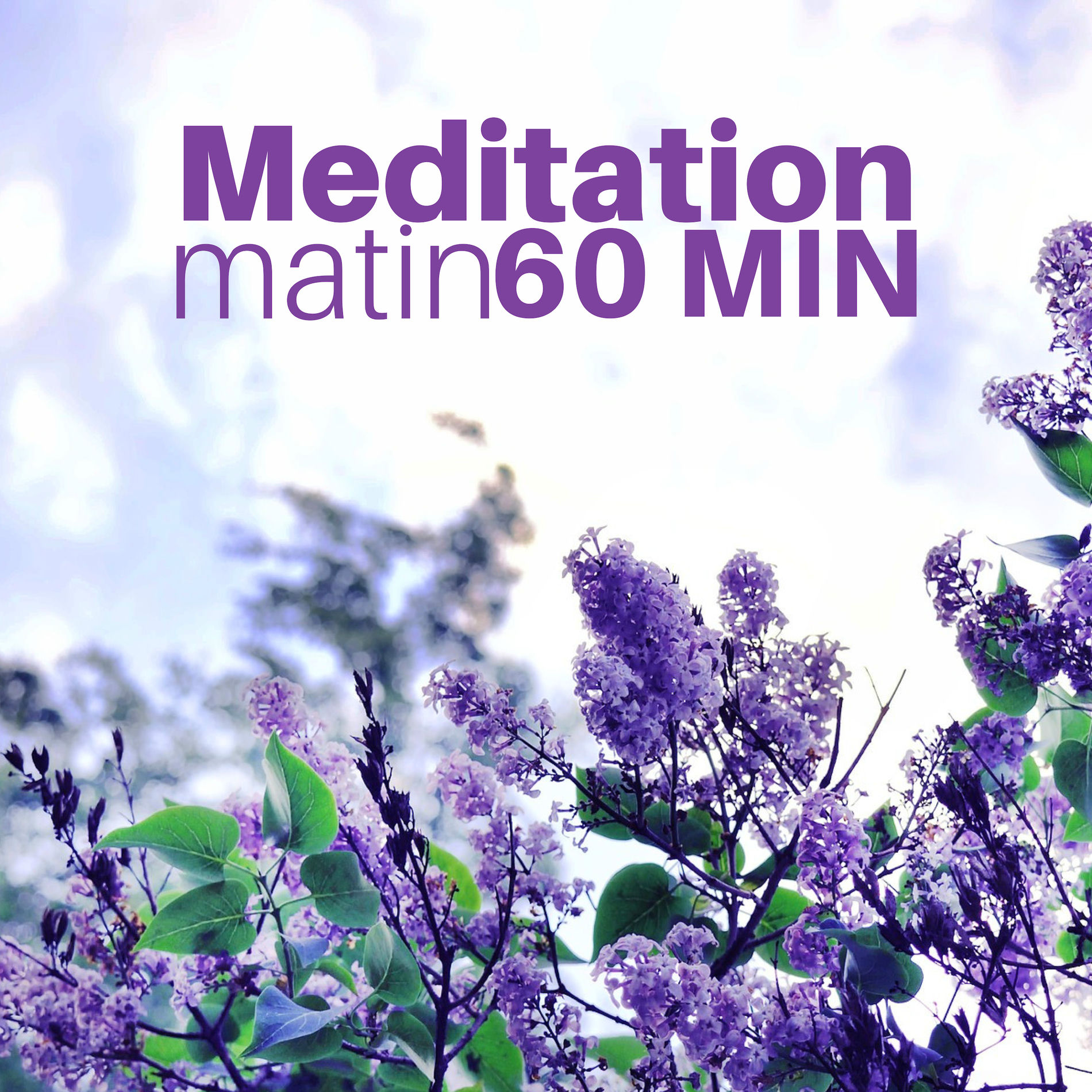 Album cover of Meditation Matin 60 MIN - Musique Bouddhiste Relaxante pour Méditer avec des Sons de la Nature