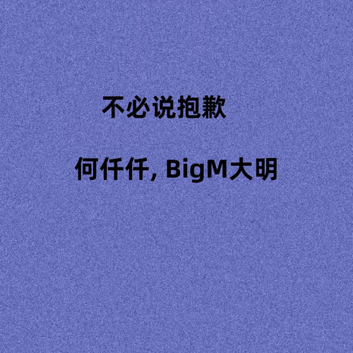不必说抱歉 (Djhz版)