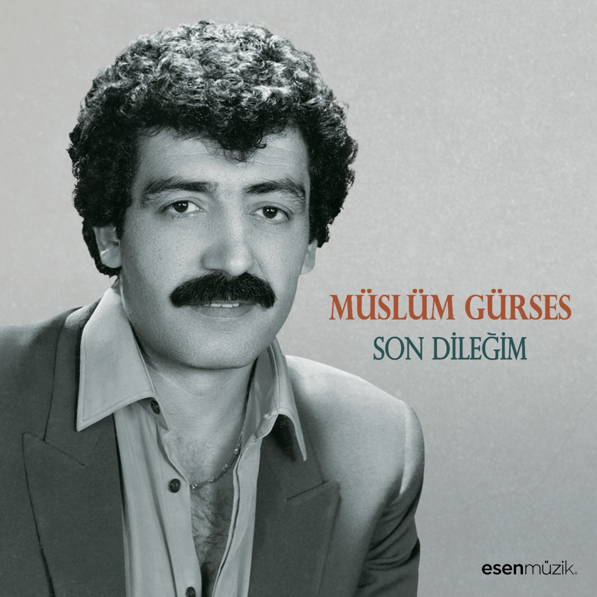 Album picture of Son Dileğim