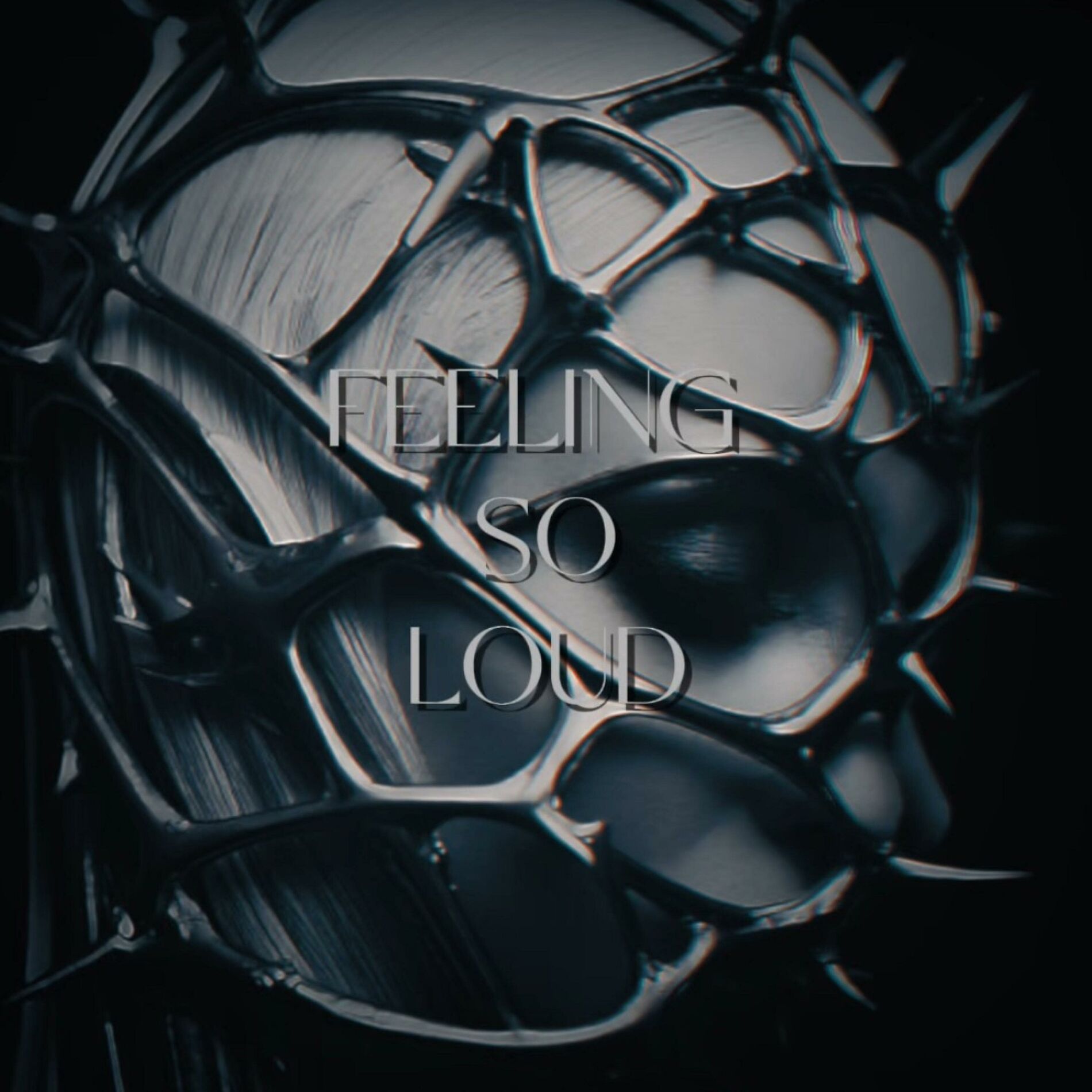 Album cover of FEELING SO LOUD