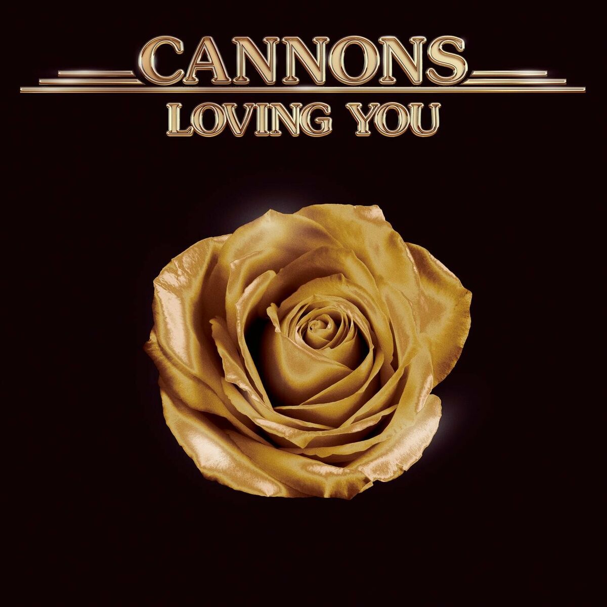 Album cover of Loving You
